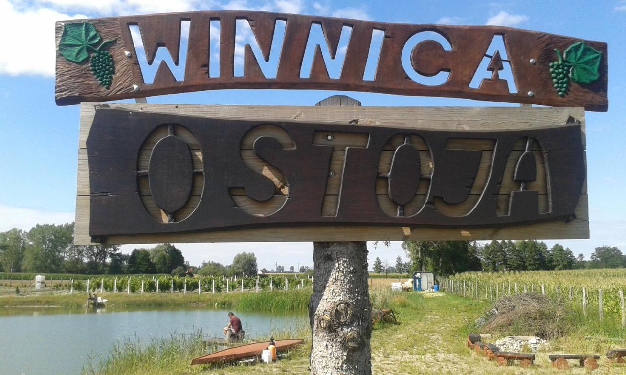 Agroturystyka Willa Ola Giewartów Esterno foto